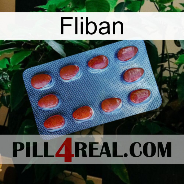 Fliban 06